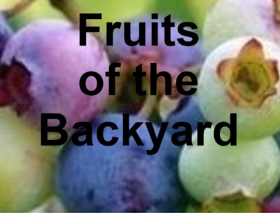 Fruits of the backyard